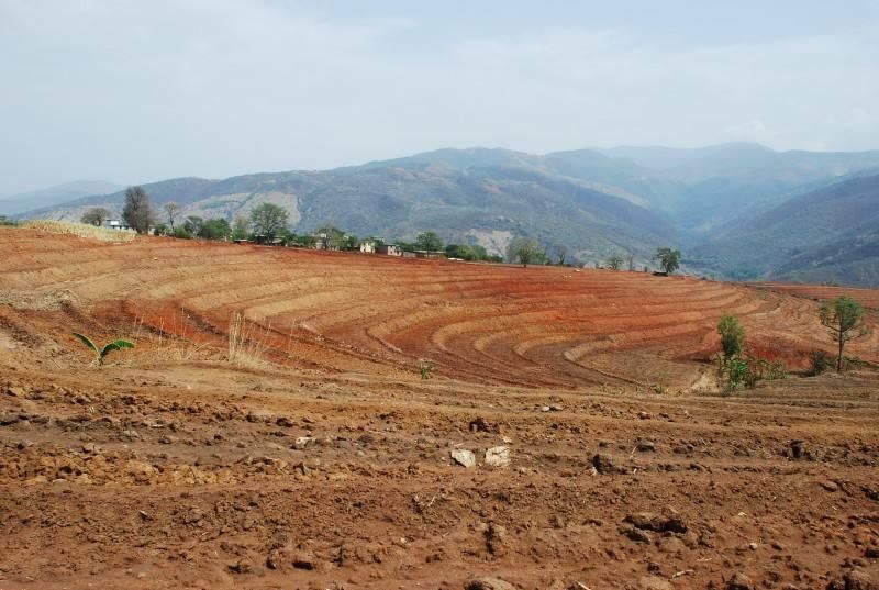 农村土地流转500元一亩，农民仍不愿意，这是为何?老农说出原因