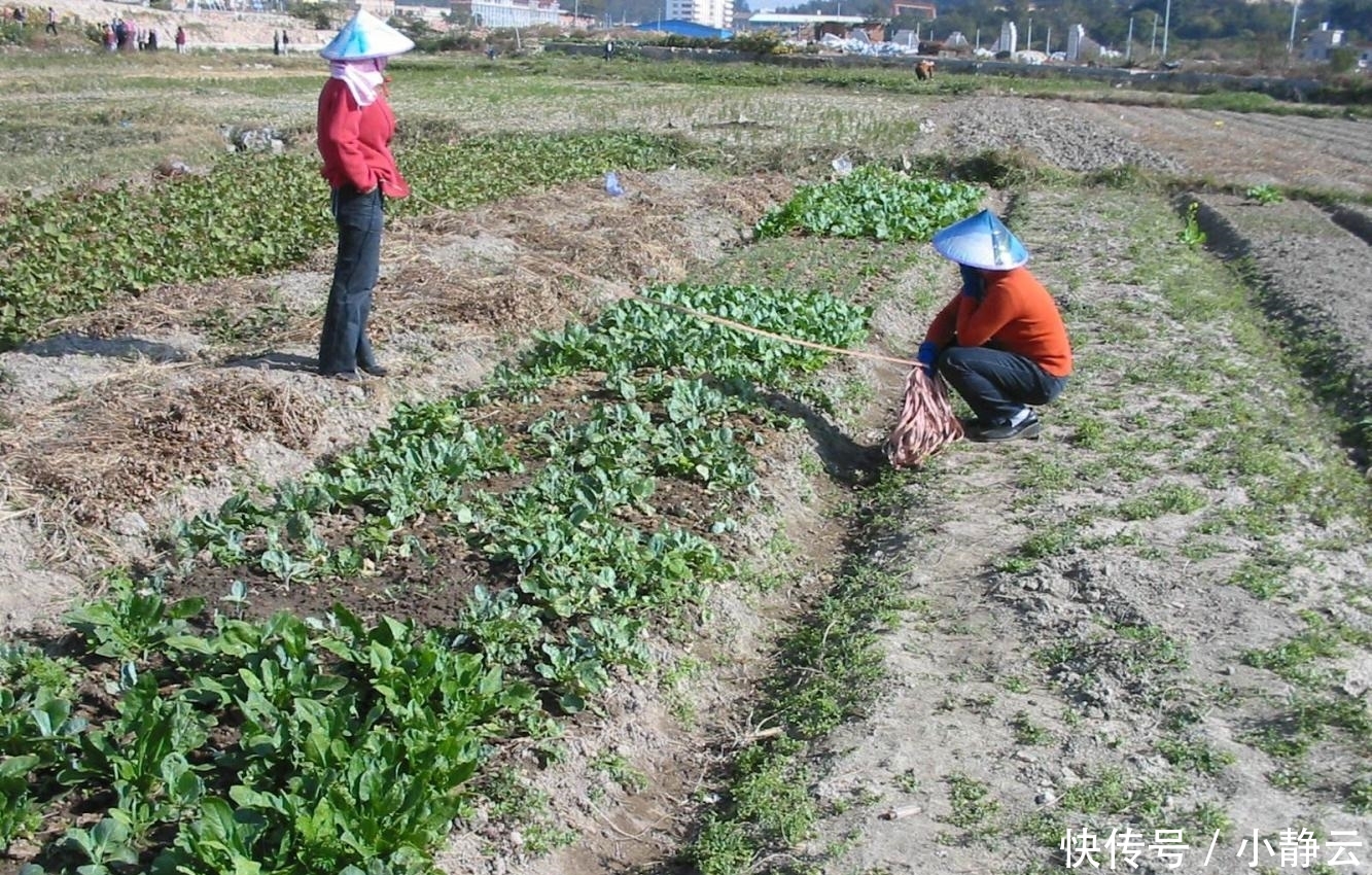  [邻里之间]再过几年, 农村最重视的不再是有车有房, 而是这些东