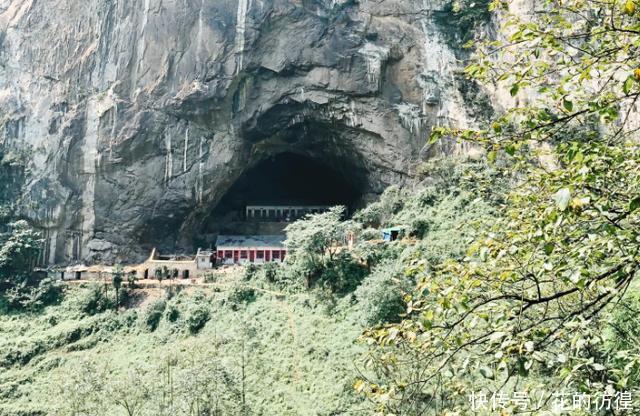 云南有一村子藏于天坑中，隐居几十年，被称为现实“世外桃源”