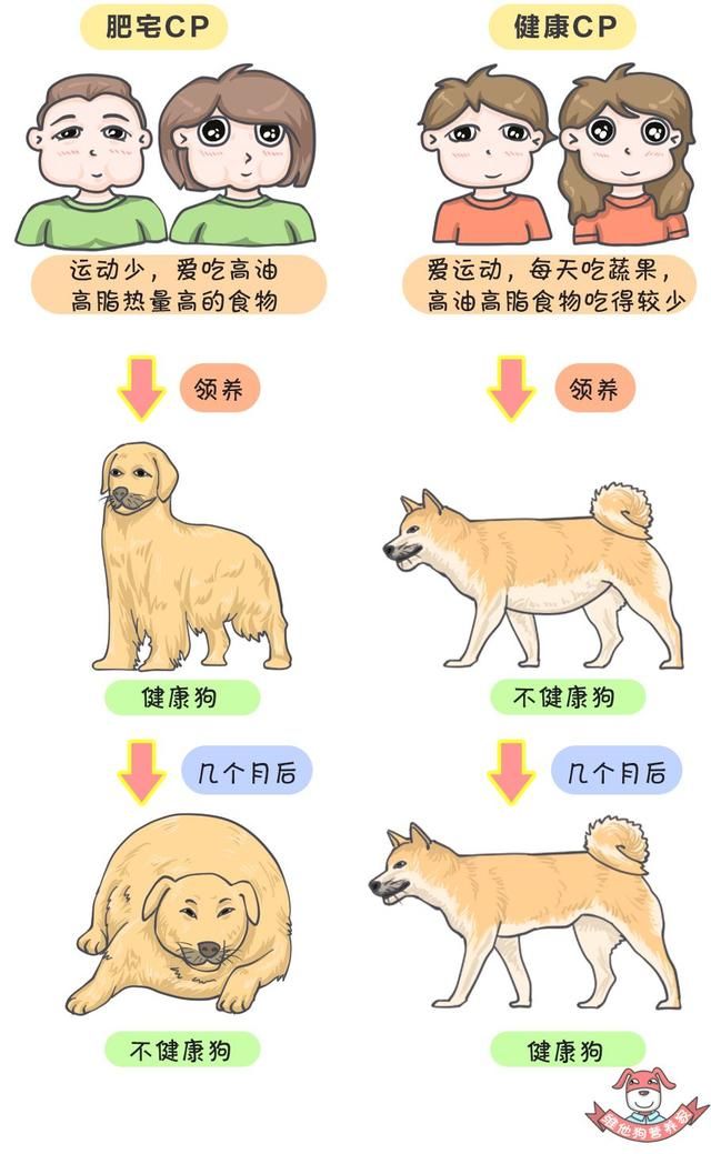 喝水都胖，你确定只喝了水吗?这10个饮食习惯让你变成易胖体质