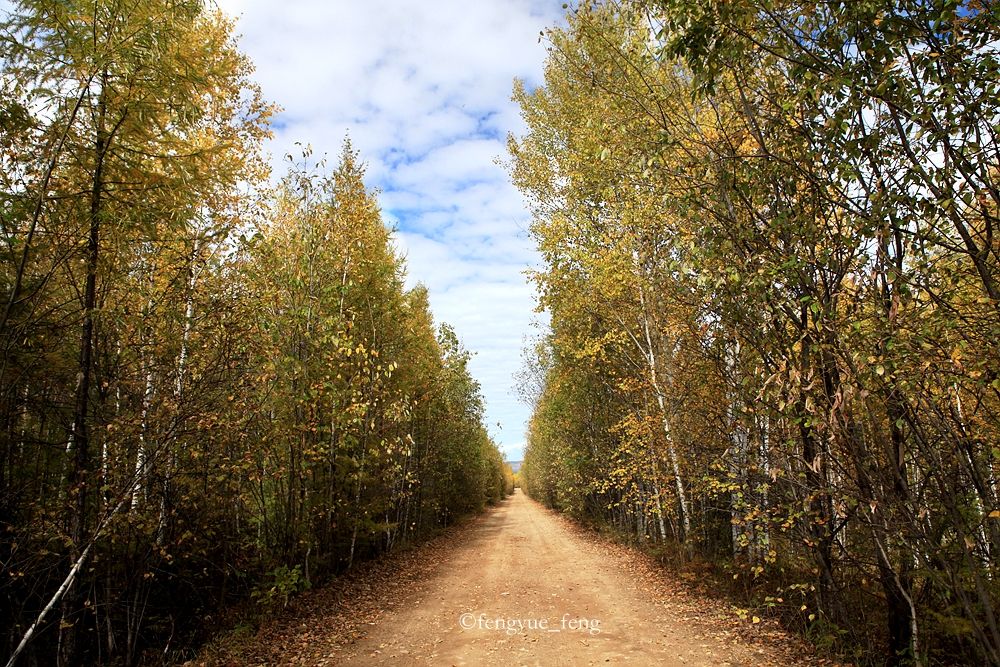 大兴安岭特大火灾澳洲火灾
