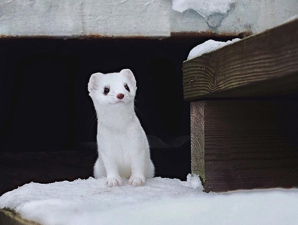 一年有200多天环球旅行,25岁芬兰野生摄影少年,6年ins圈粉120万