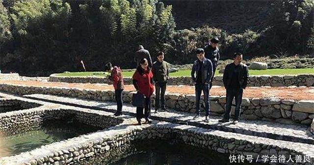 农民养草鱼却不用鱼塘，80块1斤还供不应求