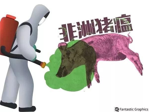 气愤！台湾绿营借非洲猪瘟操弄“反中”，连淘宝也躺枪