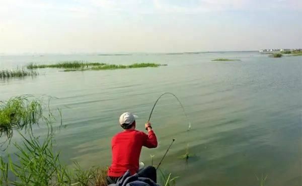  「气温」春季钓鱼抓规律，根据这些规律来钓鱼，想不爆护都难！