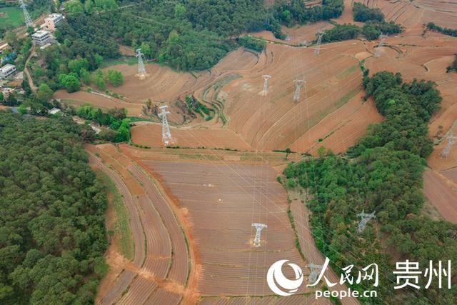  「扶贫」贵州威宁：扶贫蔬菜基地播种“希望”易地搬迁户收获安康