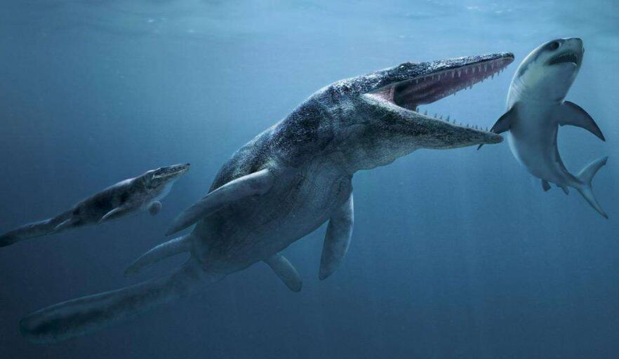 世界最深的湖泊，最深达1600多米，传说湖中潜伏“白垩纪凶兽”