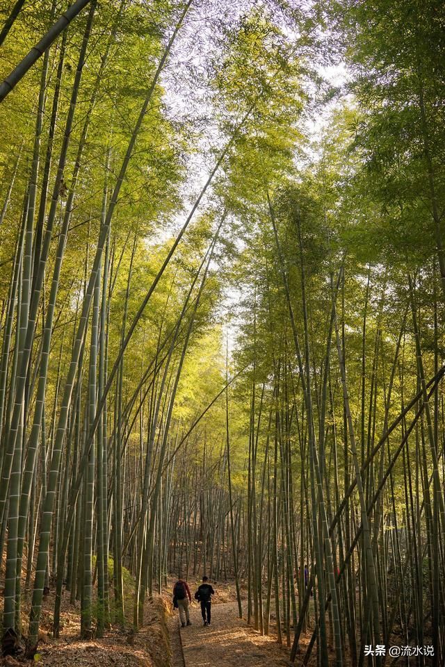 听山水品美食,细数小城里的惬意慢时光