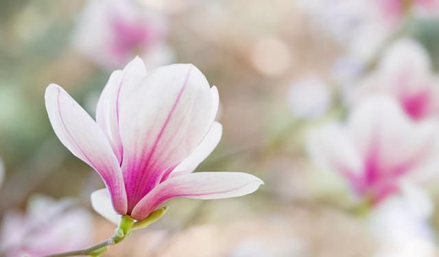  十全十美：2019退休族新标准，你达标了吗？