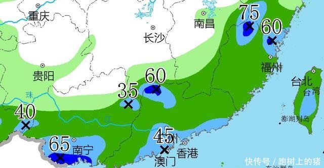  「广西」广东 福建 广西！“杨柳”台风雨确认！中雨大雨暴雨将