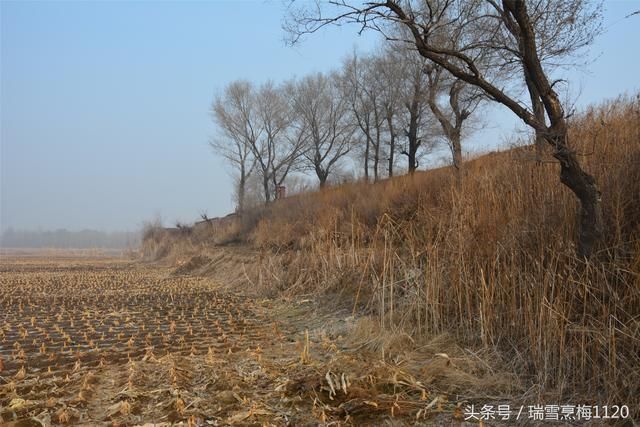 村庄档案042苏家屯堡的由来与苏家屯火车站