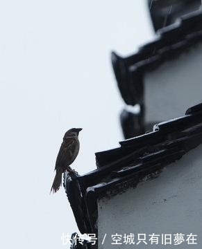 江苏省和安徽省有一个“镇”, 两省共一镇, 一街分两省