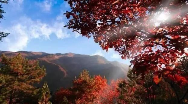 秋日里，山西20处绝美赏秋胜地美的像仙境