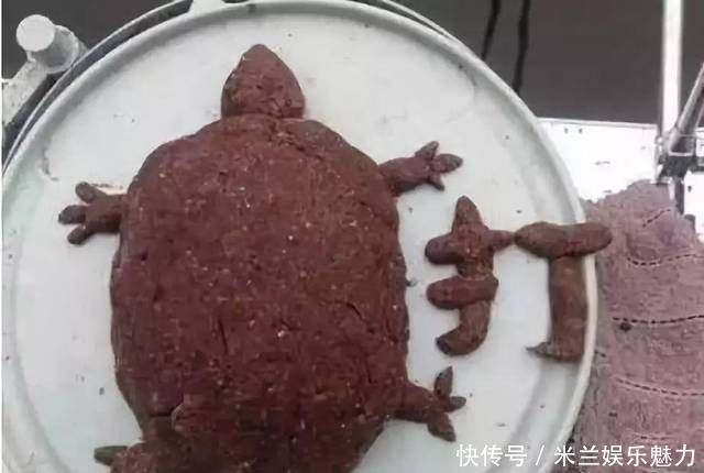  『随便配』关于钓鱼的十大谎言，一个合格的钓鱼人至少遇到过9个？