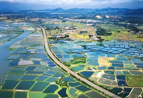  水产@广东首届渔业种博会下月南沙举行，渔业高科技园现场展示