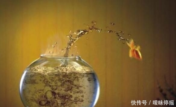  【孩子】经典的教育的方法你知道几个？