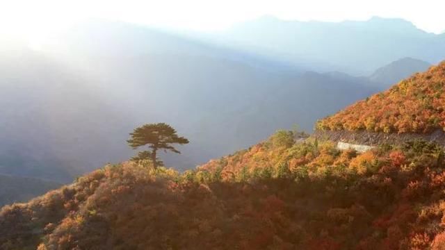 很多人还不知道，京西有个“百花山下第一村”，简直美的不行