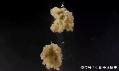 『深刻』秋凉夜钓,这八点值得深刻学习一下!很多钓鱼人还不知道