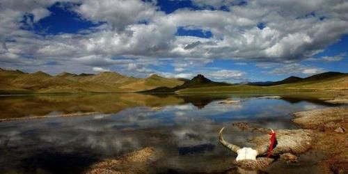  无人区|中国“最大的无人区”可可西里到底有多危险？看完后无法想象