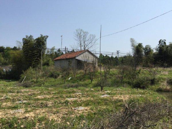 杭州绕城高速公路西复线工程为良渚遗址让道