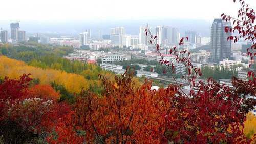 大街小巷没见过卖空调的,国内最凉爽的旅游城市!