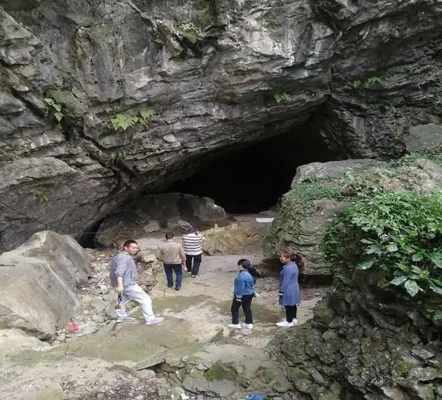  【马村贡米】走进青川县建峰镇