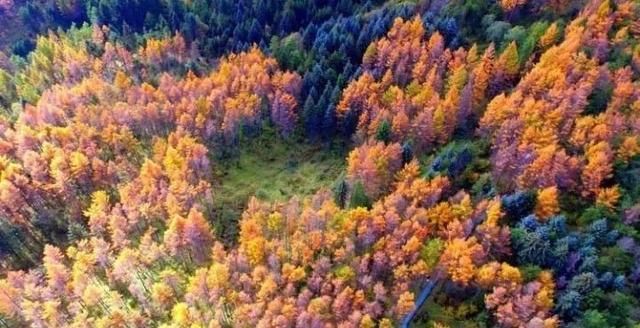 秦岭这条公路，秋天必驾，5处醉美之地值得看看
