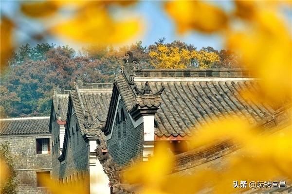 湖北当阳玉泉寺，千年银杏身“披”黄金甲