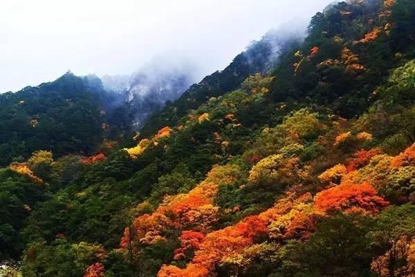 它只是雅安的一个县，却几乎包揽了川西美景!离德阳仅4小时!