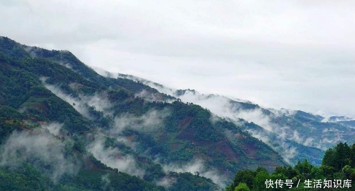 云南大山深处一村落：家家都住别墅，满山都是摇钱树收入不菲