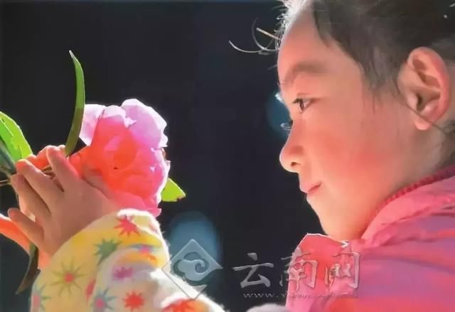 春季花开哪家强？云南16州市最美赏花点看过来！