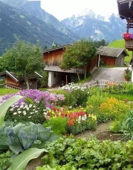  「花园」花园就是菜园，这才是种花的最高境界！