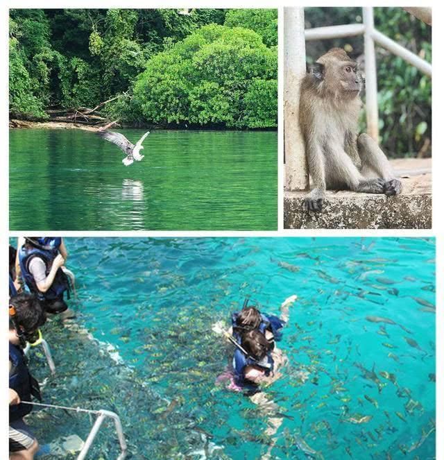 陈乔恩艾伦在一起了：爱情很甜，风景也很美