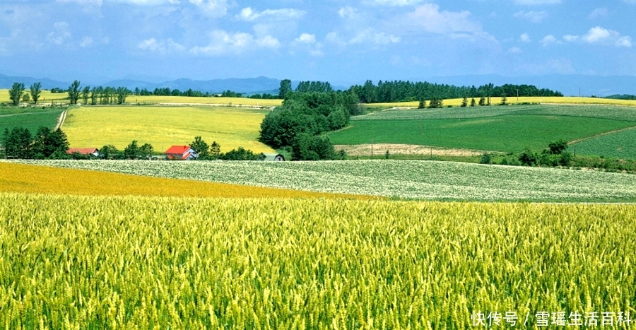 严查农村低保户，这3类人将失去低保资格，希望其中没有你！