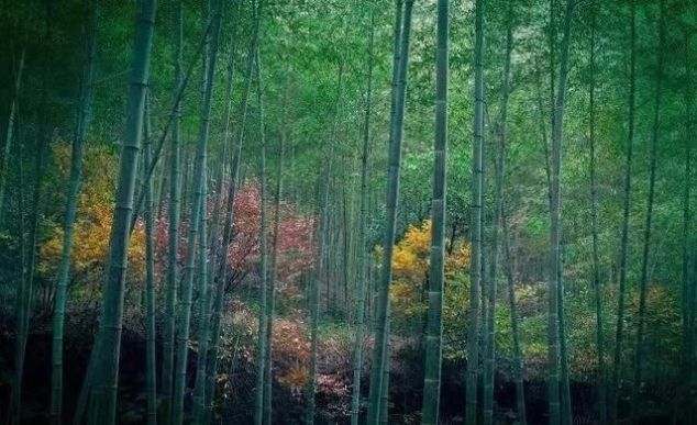 9分钟王一博肖战