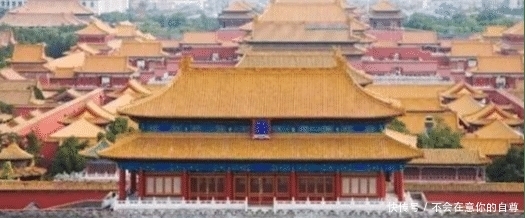 世界第一“巨蟒”,委身于故宫城内,如今已有612岁的高龄!