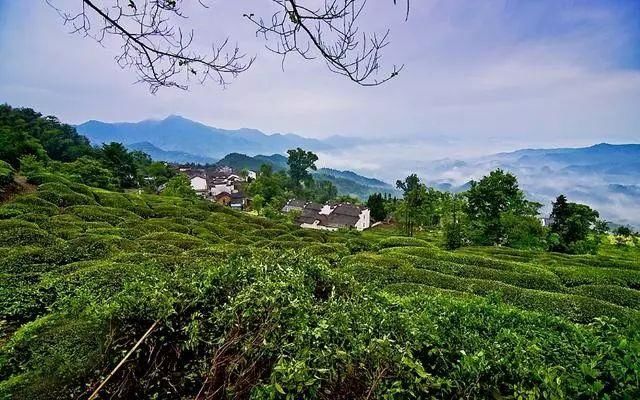 有这样一个世外桃源，藏着皖南最美的古村落！