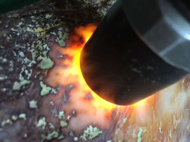  #男子#农村男子在河边捡到块奇石，送去鉴定后，以5000万的价格