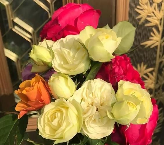 漂亮@想让月季花期提前?3月打好“5个基础”,开花提前一个月,超漂亮