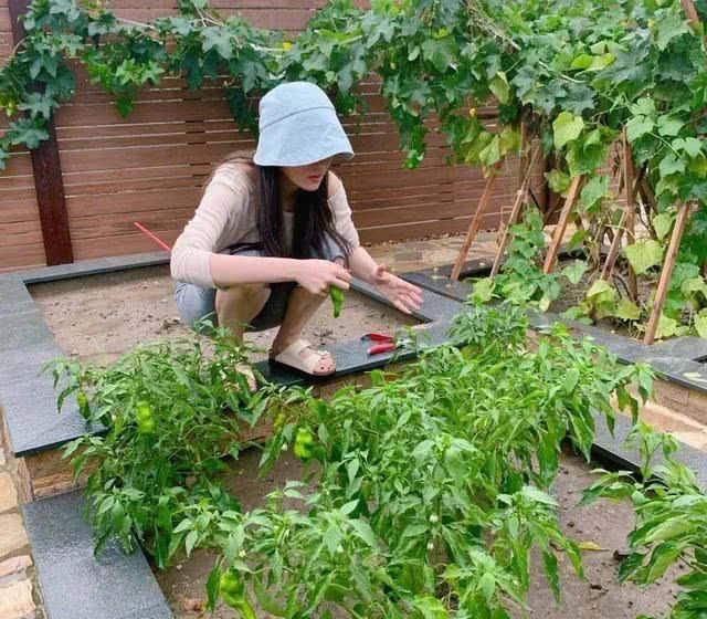  [快速]张馨予为快速减肥买瘦身产品，不料被坑惨，发文称：很傻的举动