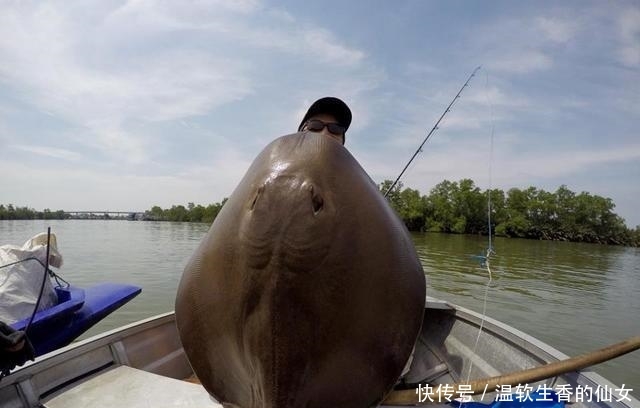 强烈要求李大毛老师停止游钓中国, 远征湄公河降服真正的巨物