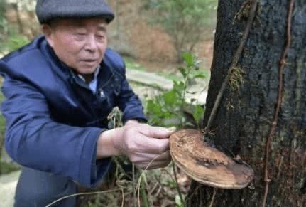 洗完脸后，牙膏这样用，脸蛋又水又嫩，超简单简单实用