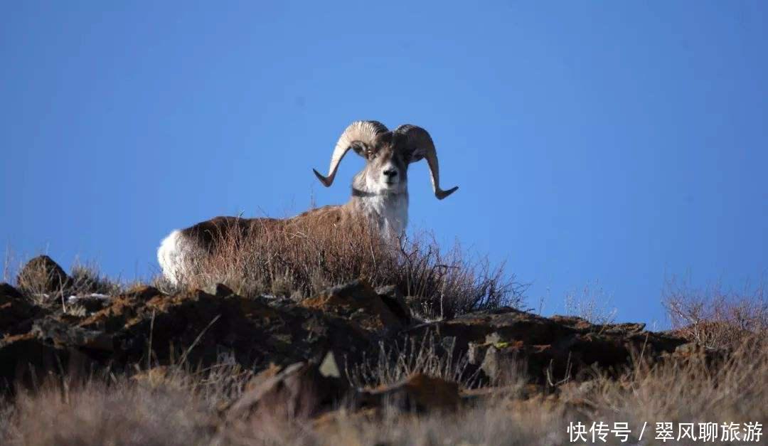 西藏无人区到底有多可怕？为何很多人进去后再也没出来？