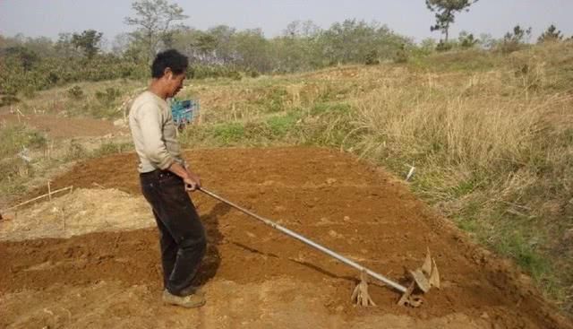  「城市里」不愿打工，不如选择回农村创业，这几个创业点子，“