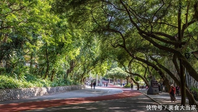 广西旅游，来到绿城南宁，首选城市绿肺青秀山