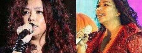 「鲁豫」这些女明星变胖后 个个容貌大变唯独她变胖后漂亮多了