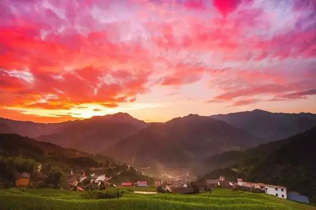 三月，去看中国最美春光