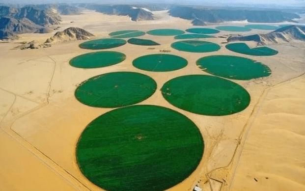 亚洲小国在沙漠上建起大型农场，还成了国内主要的粮食供应来源！
