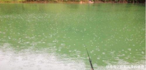『水温降低』同样在下雨天钓鱼,为何别人收获很好,你却钓不到鱼!