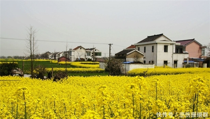  我国@我国最干净的县级市，干净程度堪比日本，富裕程度超上海北